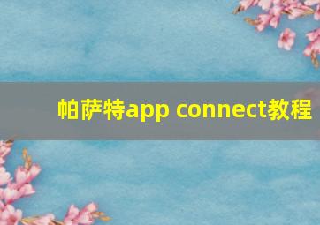 帕萨特app connect教程